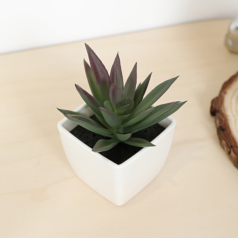 Mini Realistic Succulent Plant Indoor Houseplant for All Decor Styles