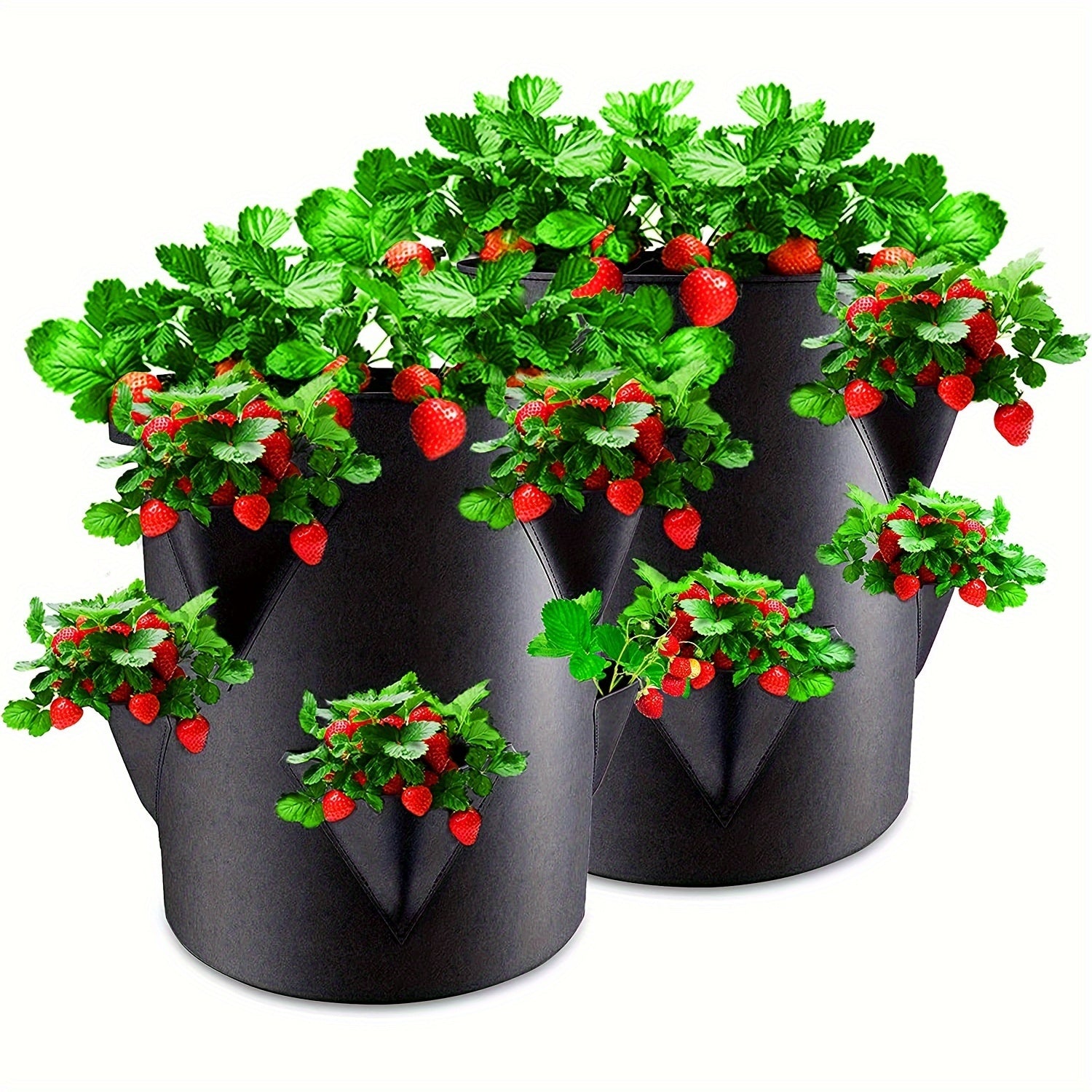 Set of 2 37.85L Strawberry Planting Bags with Window and Handle for Indoor Outdoor Gardening