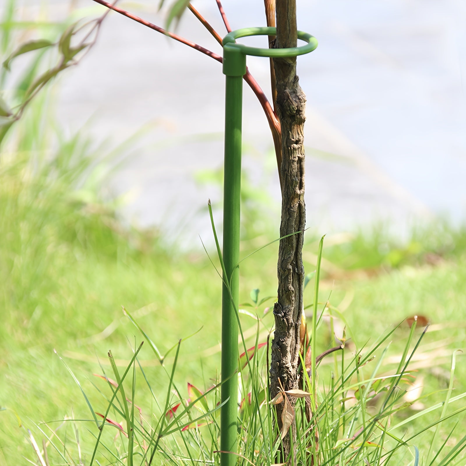 Set of 5 Plastic Plant Support Stakes for Indoor Plants and Vegetables