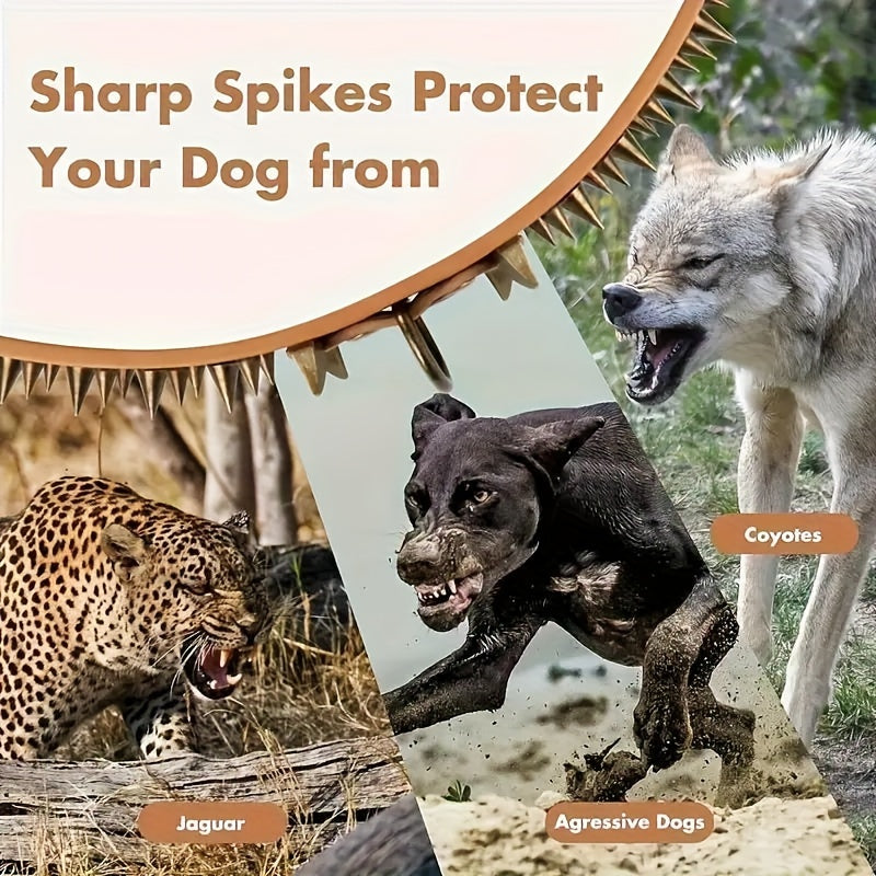 Leather Spiked Dog Collar with Bullet Rivets and Skull Design for Medium and Large Dogs