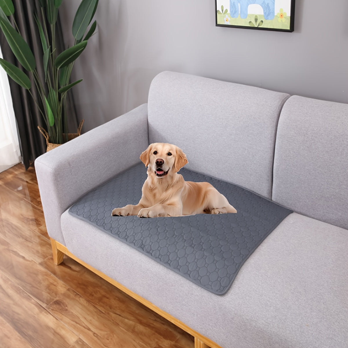 Washable Waterproof Dog Training Pad with Non-Slip Hexagonal Grip for Indoor Use