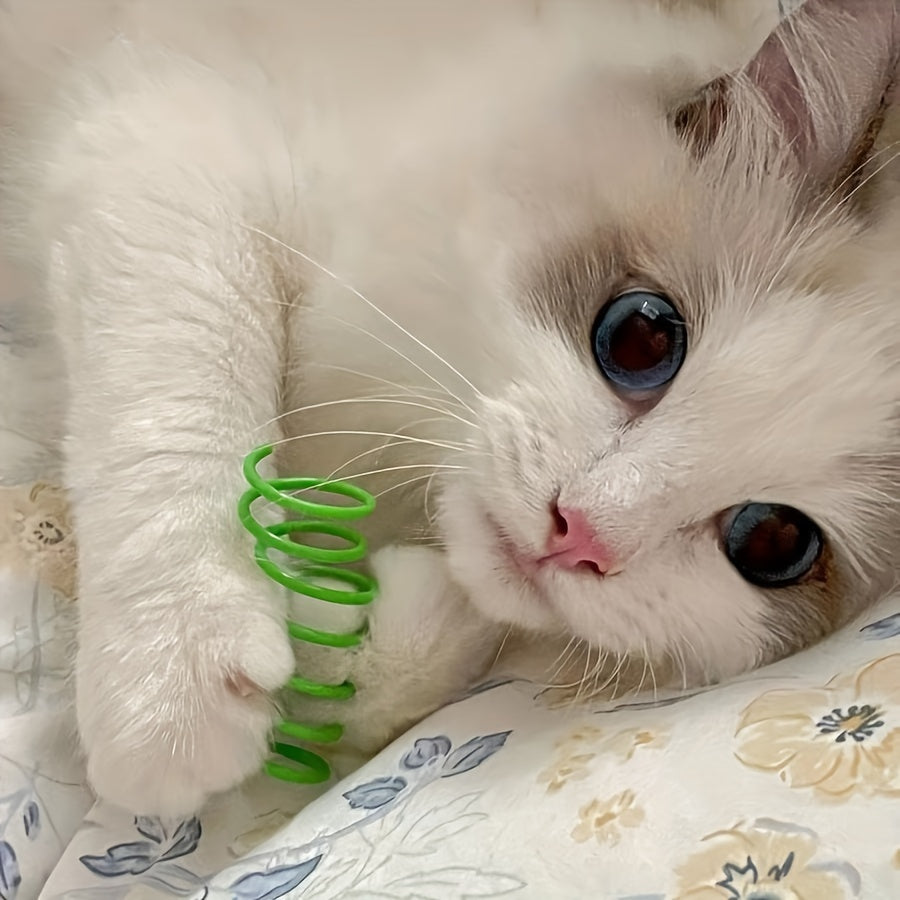 100-Pack Cat Spring Toys Plastic Coil Springs for Interactive Play Teeth Cleaning Exercise