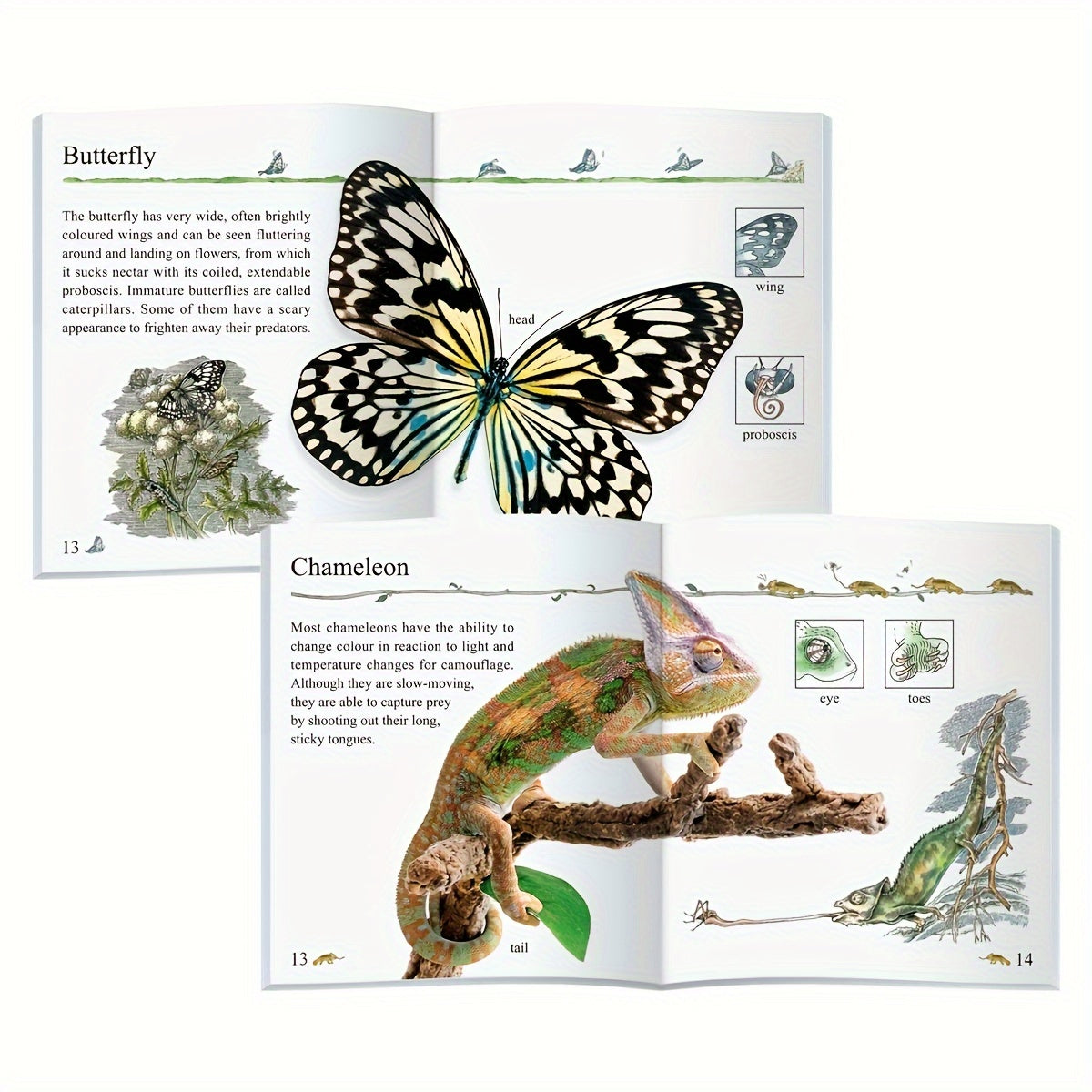 Set of 10 Children's Educational Books for Kids Ages 3 and Up