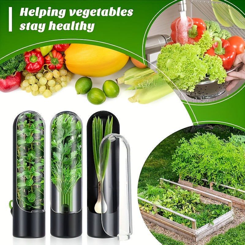 BPA-Free Plastic Herb and Vegetable Preserver with Easy-Open Water-Reducing Design