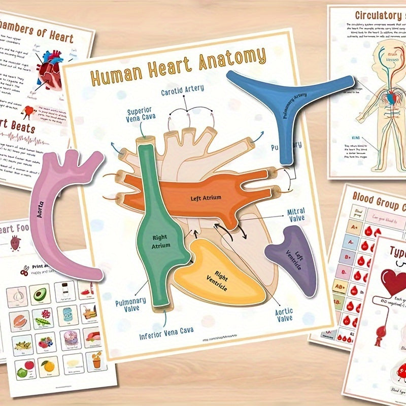 Human Anatomy Busy Book for Kids Interactive Organ Matching Educational Toy Travel Edition