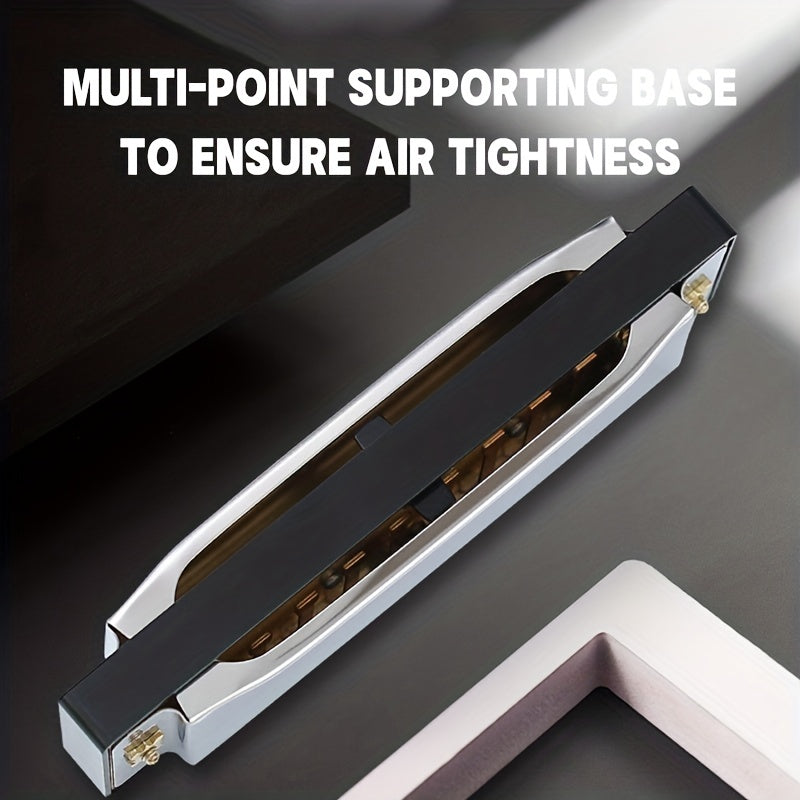 10-Hole C Key Blues Harmonica with Hard Case Stainless Steel Polished for Beginners Professionals