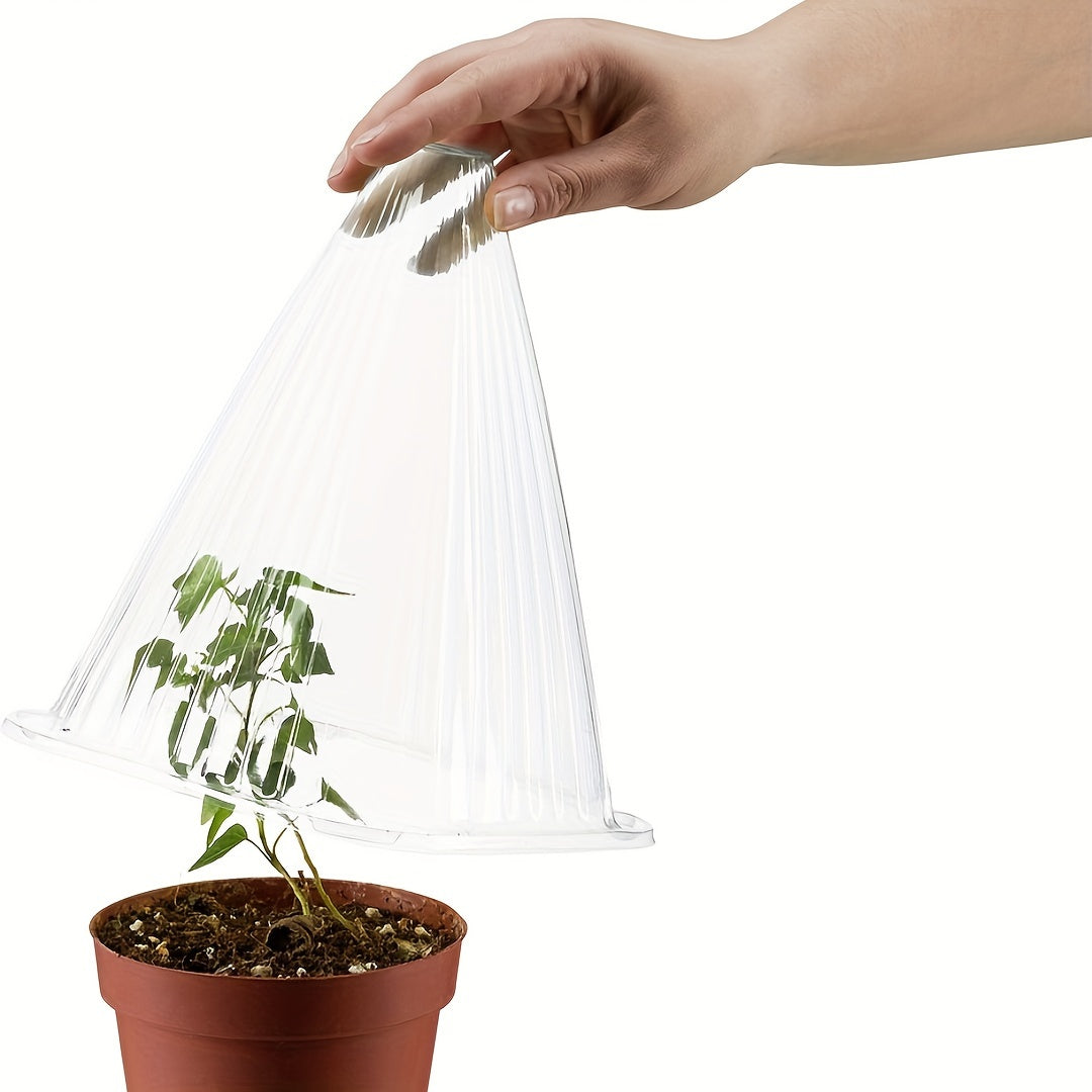 Set of 20/30/50 Transparent Plant Covers for Frost and Slugs 22x19x19 cm