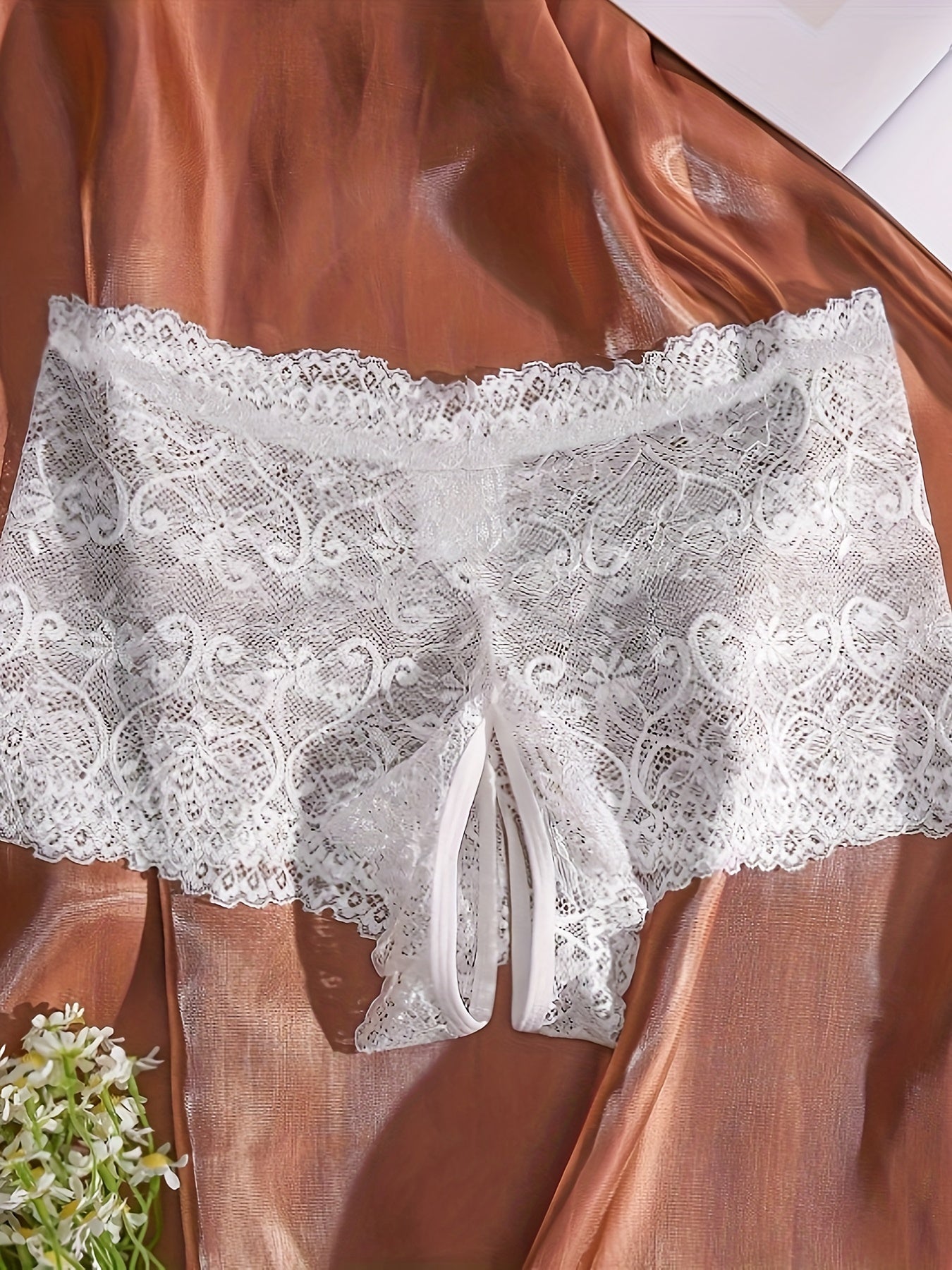 Women's Lace Low Waist Panties Sexy Erotic Lingerie for Women