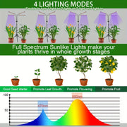 Indoor Plant Grow Light with 80 LEDs Full Spectrum Timed Seedling Lamp with Red Blue White Modes