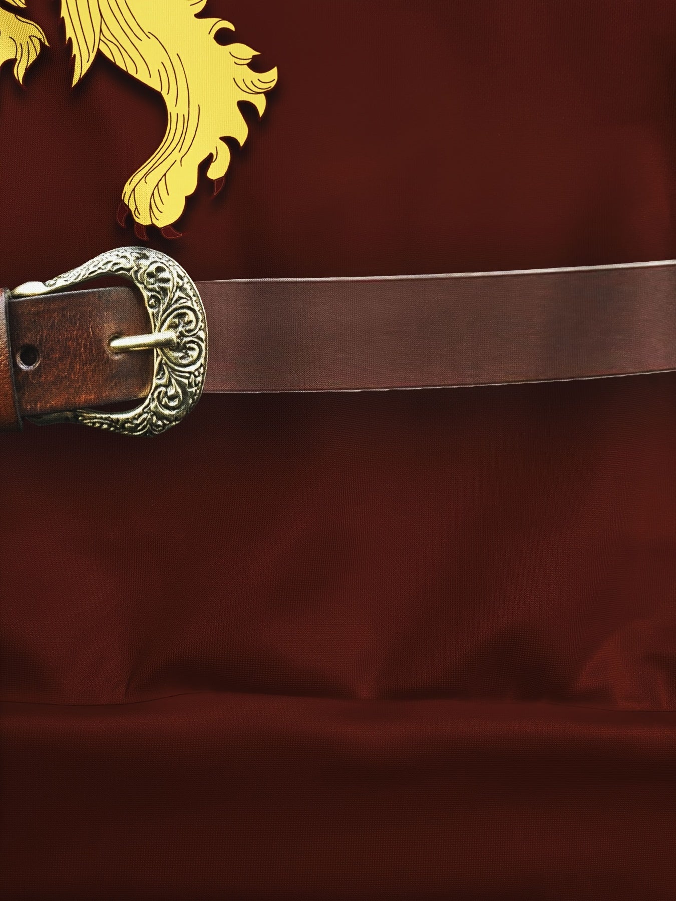 Men's Red Hoodie with Lion Shield Print Polyester Knit Casual Sports Fall Winter