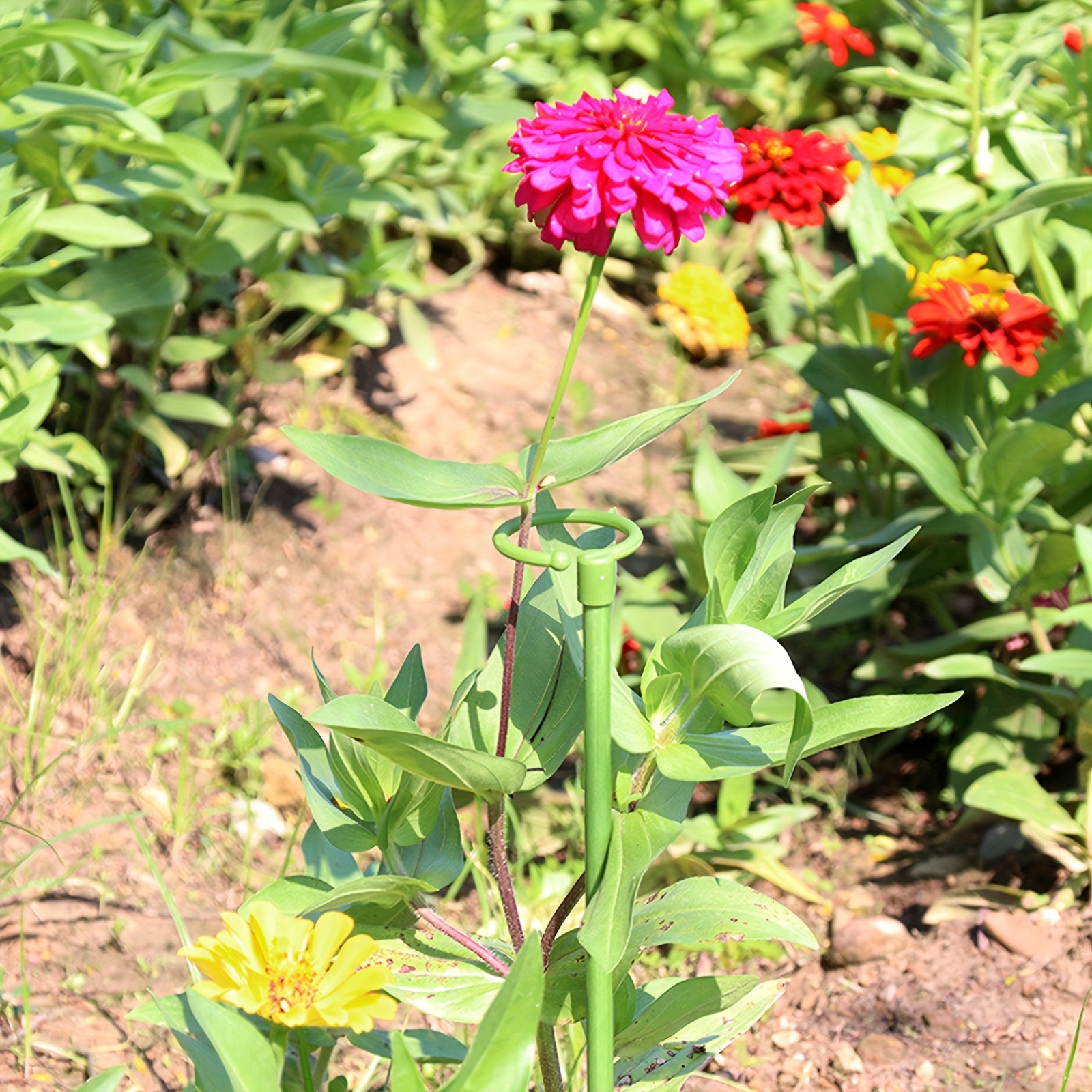 Set of 5 Plastic Plant Support Stakes for Indoor Plants and Vegetables