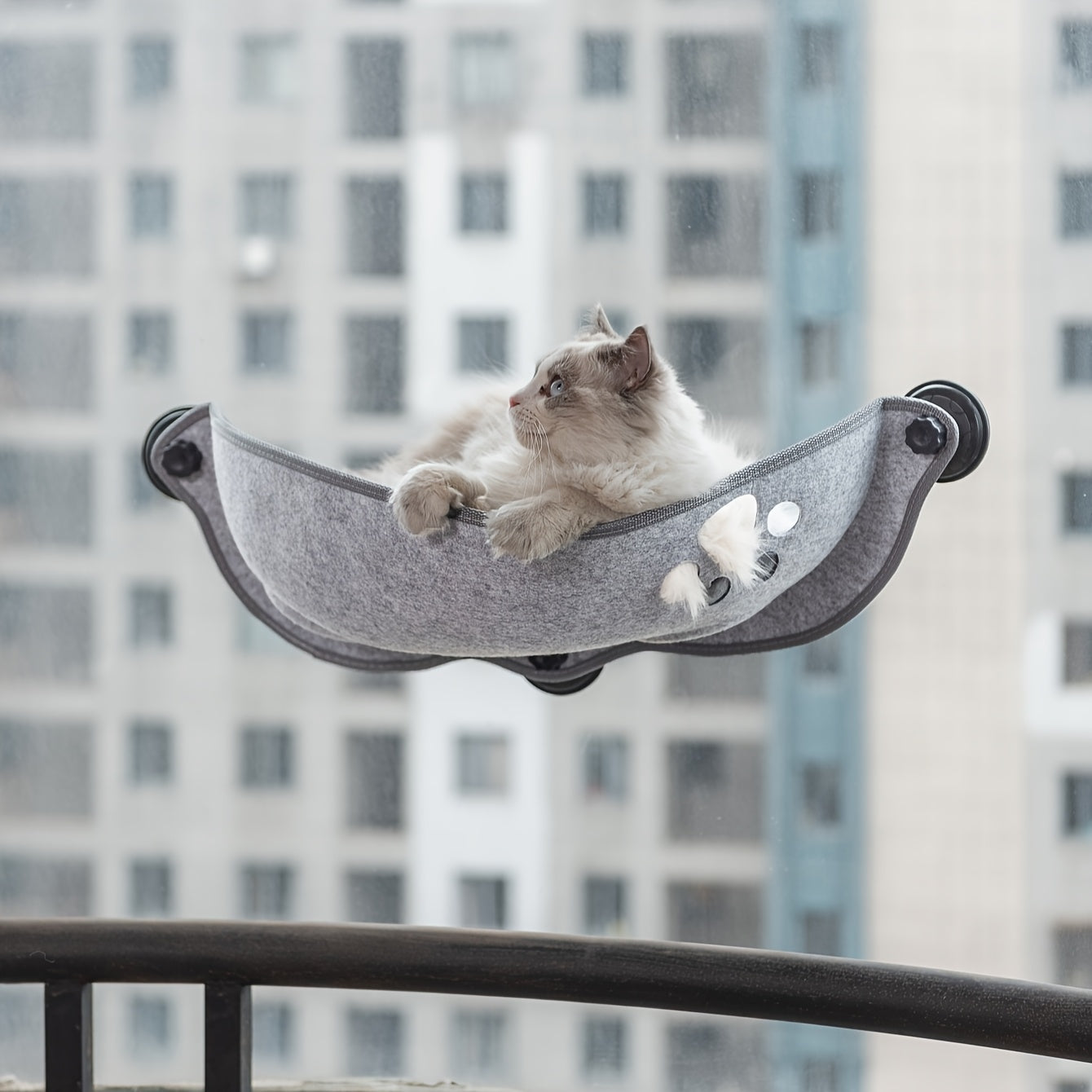 Hamaca para gatos en forma de media luna con ventosa para gatos pequeños y medianos Sunlight Lounge