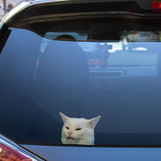 Kulgili Smudge The Cat Meme Vinil stikerlar, avtomobil oynalari, bumperlar uchun decal'lar