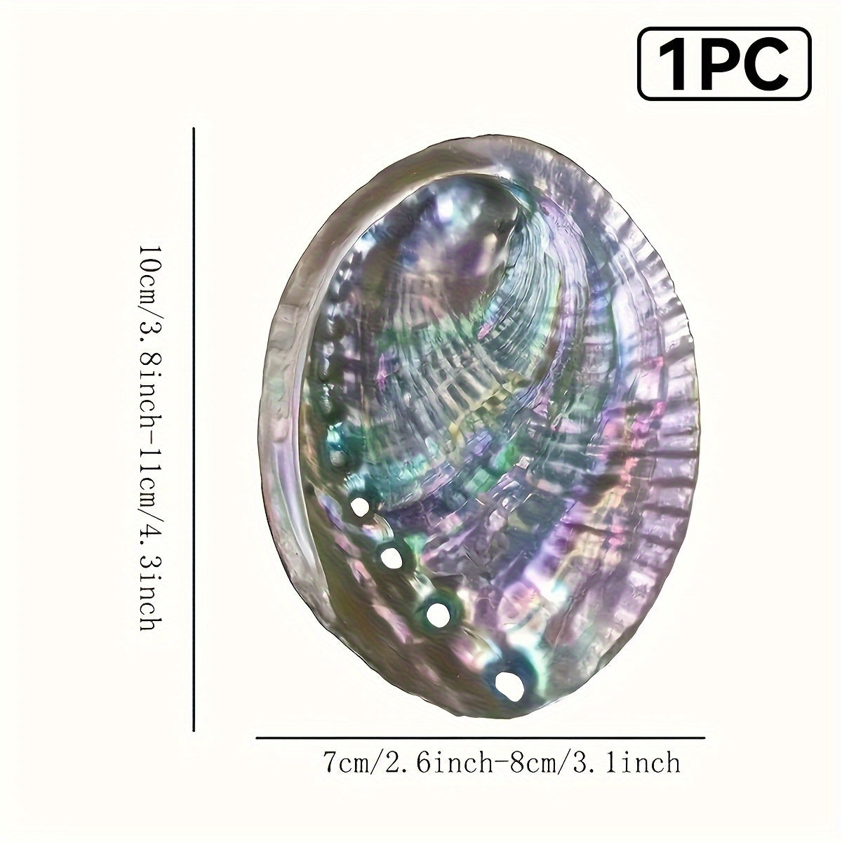 Large Abalone Shell Bowl for Smudging 9.65-11.94 cm