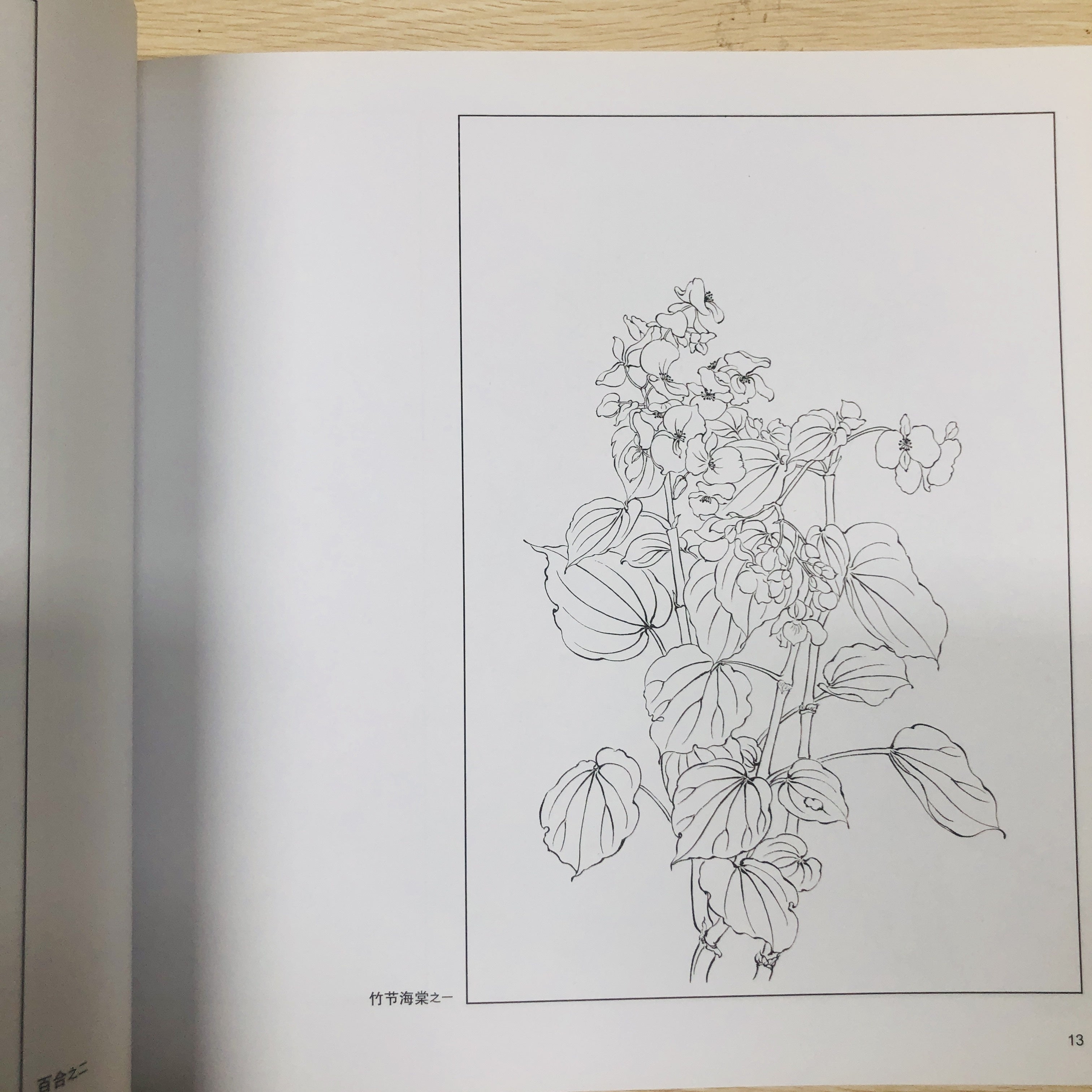 Chinese Painting Techniques Book for Beginners with Fresh Flowers Calligraphy Still Life Art Photography in Simplified Chinese