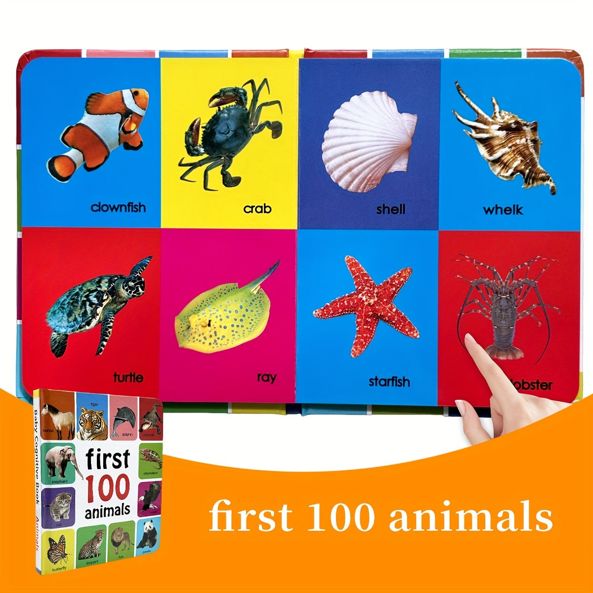 Children's English Learning Book for Ages 4+ 11 Pages Vocabulary Development