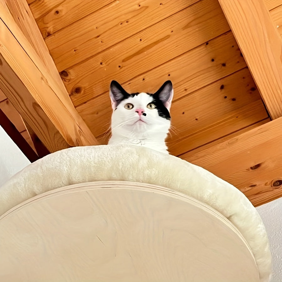 Modern Raw Wood Wall-Mounted Cat Bed for Indoor Cats