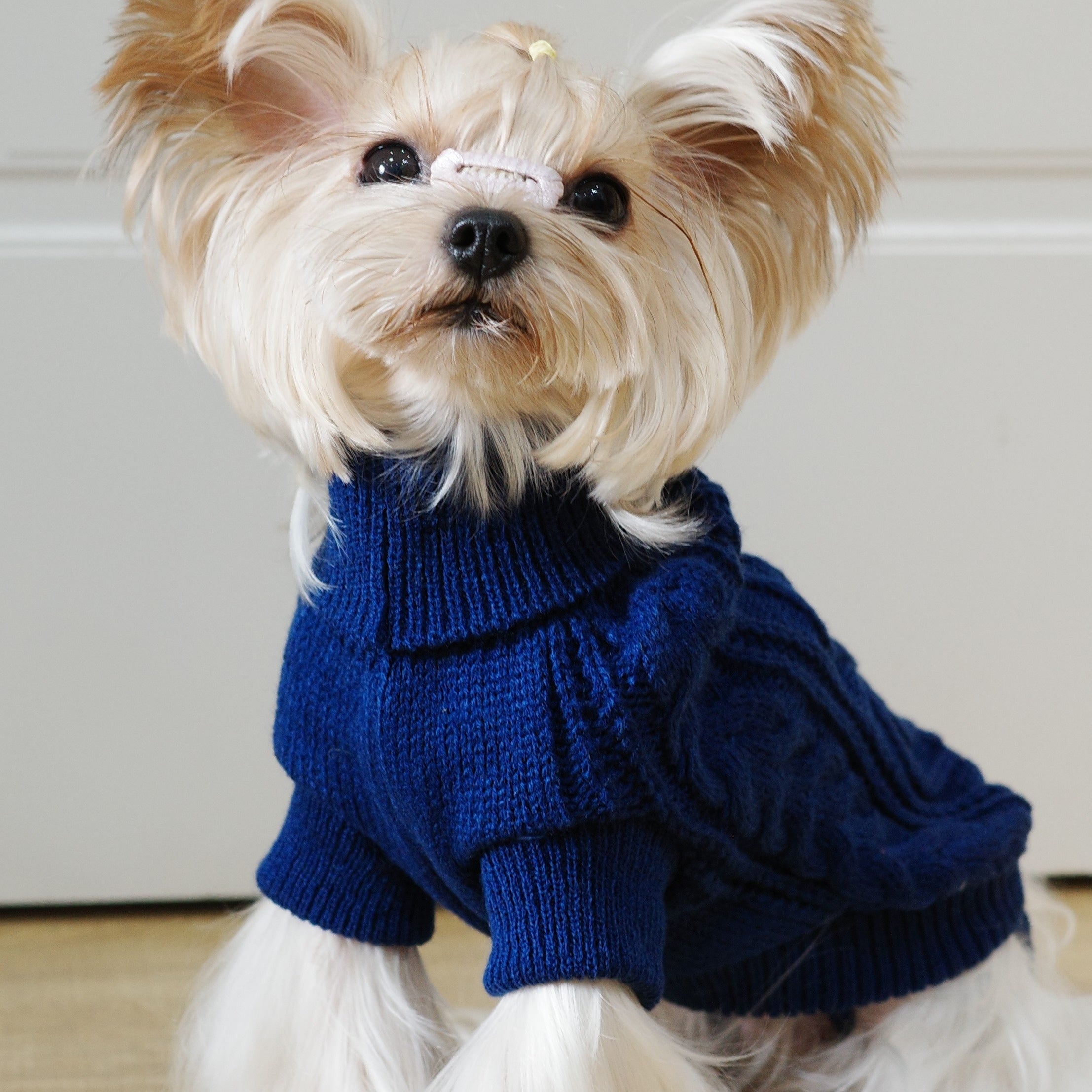 Knit Dog Hoodie with Floral Design All-Season Pullover for Small to Large Breeds