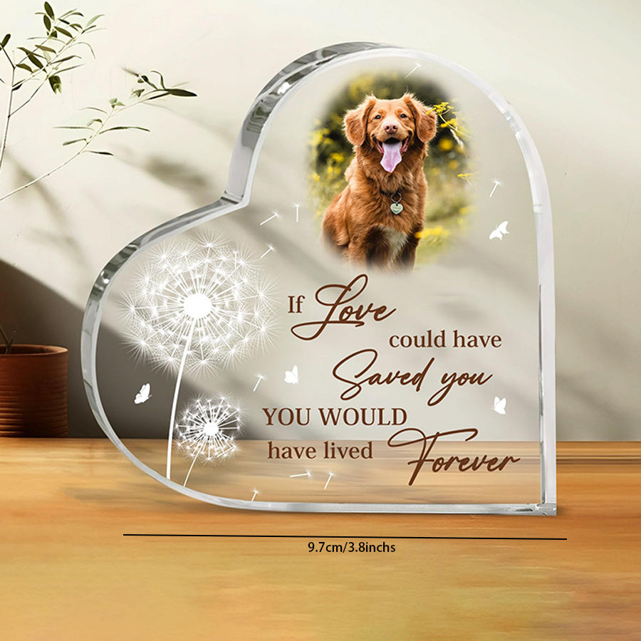 Customized Pet Memorial Acrylic Plaque for Dogs or Cats Remembrance Desk Decoration