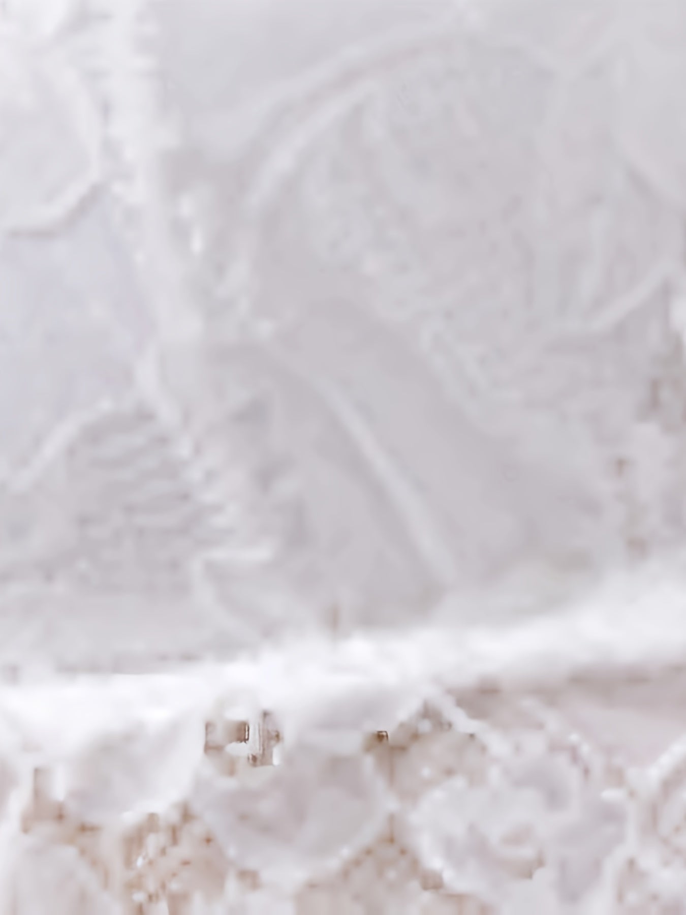 White Lace Lingerie Set with Scalloped Neckline Removable Pad Bra and Low-Rise Panties