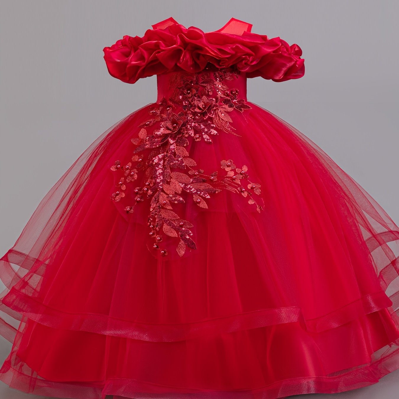 Girls Embroidered Mesh Ball Gown Dress for Parties and Holidays Long Length