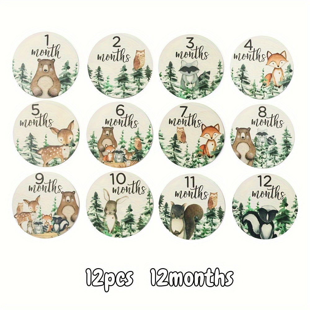 Juego de 12 tarjetas de hitos de madera para anuncios mensuales y seguimiento del crecimiento en fotografía