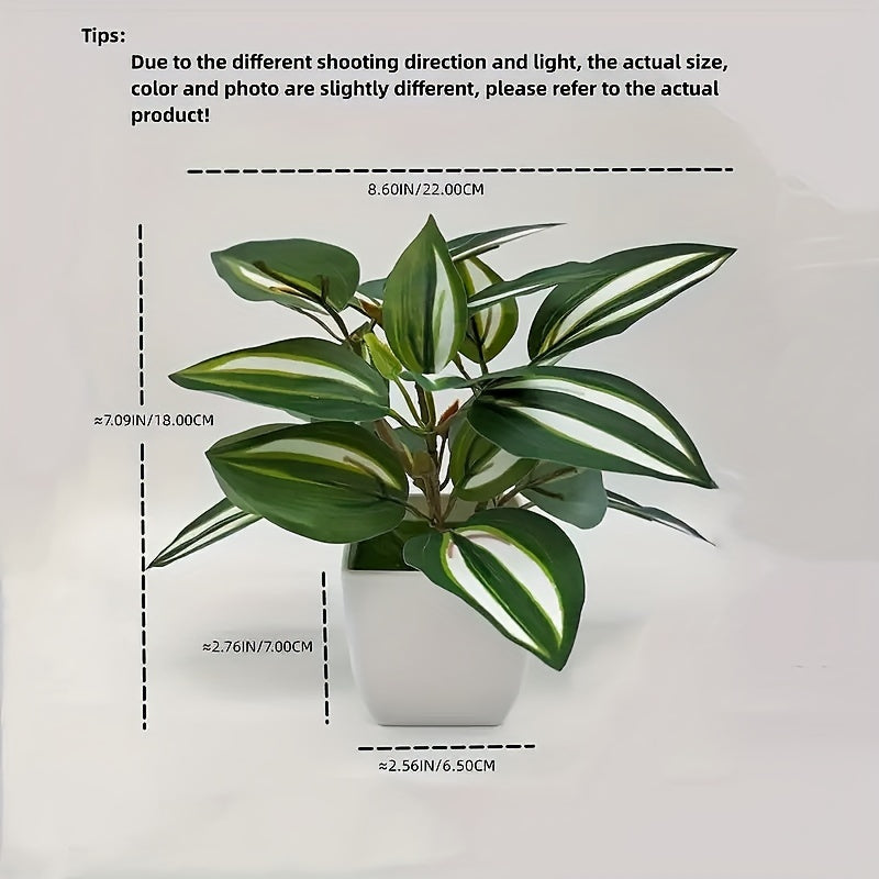 Set of 4 Small Artificial Eucalyptus Plants in White Planters for Indoor Decor