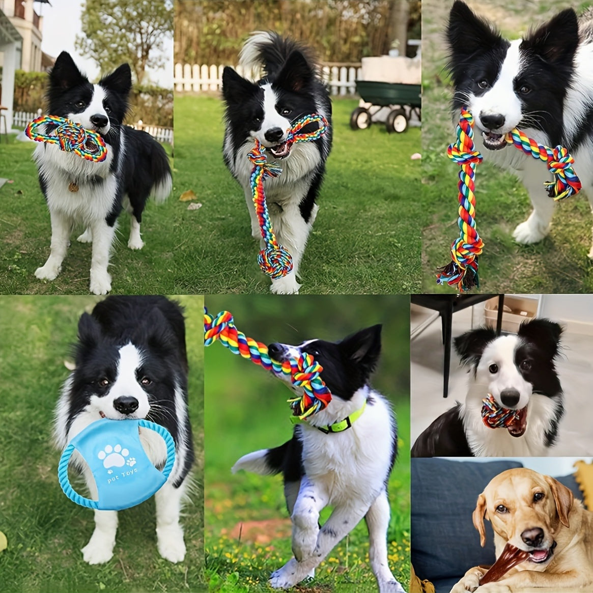 6-Pack Cotton Blend Dog Rope Toys for Medium to Large Breeds Teething Tug