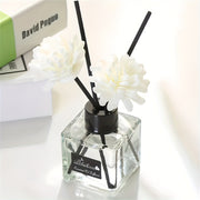 50ml Large Flameless Aromatherapy Diffuser with Reeds in Transparent Glass