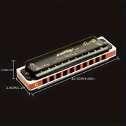 Blues Harmonica in C Major Metal Black with Carrying Case