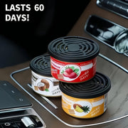 Yog'och avtomobil havo tozalagichlar to'plami uzoq davom etadigan aromat va bir nechta hidlar bilan