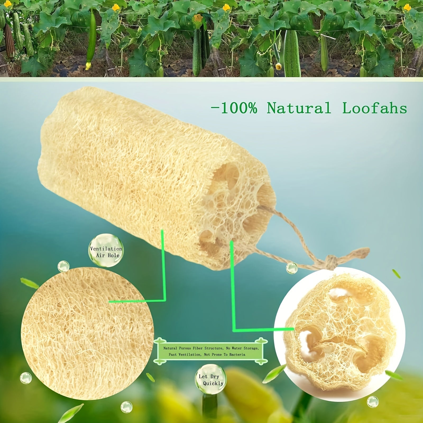 4 ta tabiiy loofah gubkalar to'plami, hammom, spa, terini parvarish qilish, oshxona tozalash uchun