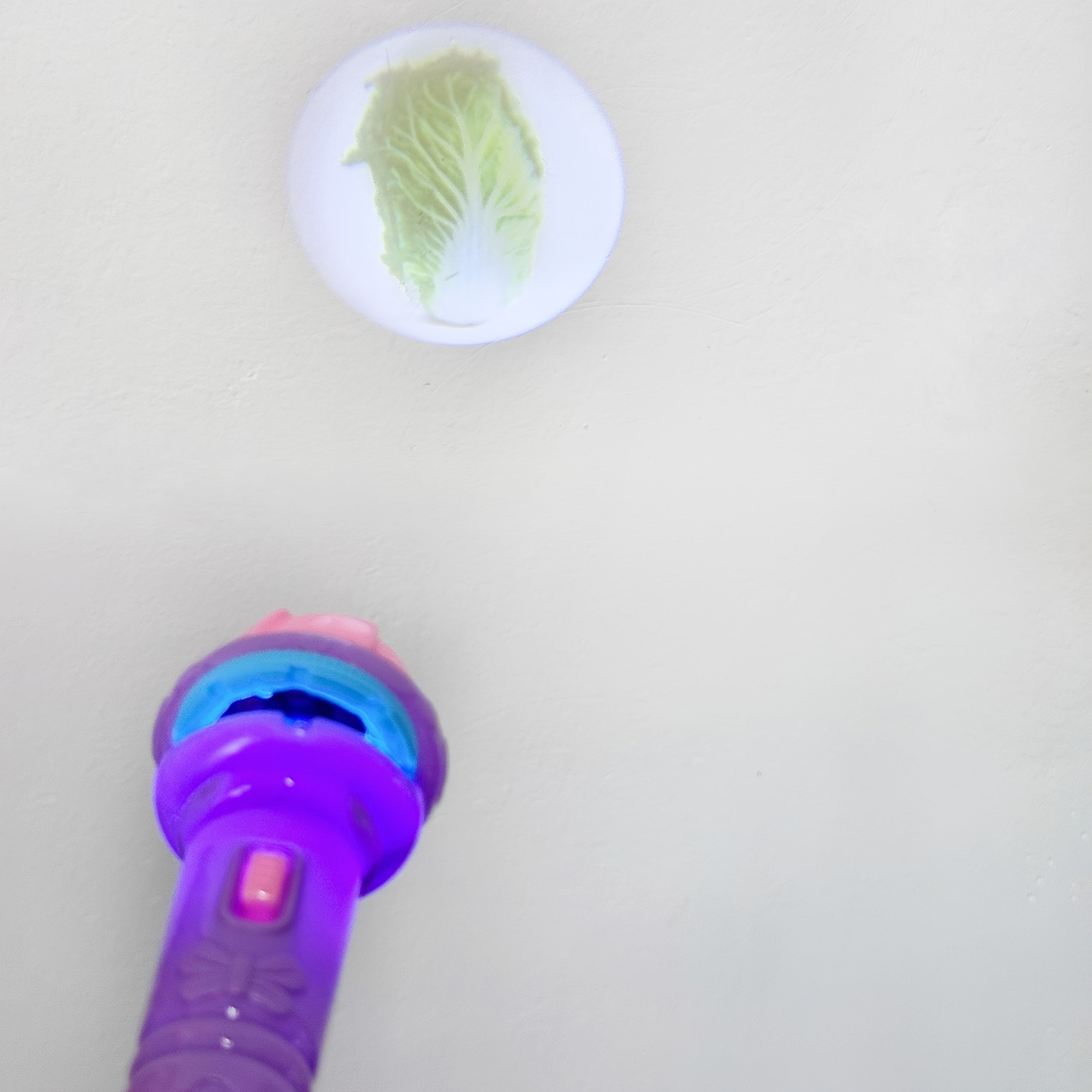 Educational Toy Projector Flashlight for Kids with 32 Dinosaur Animal Fruit Designs in Pink Purple Green Blue