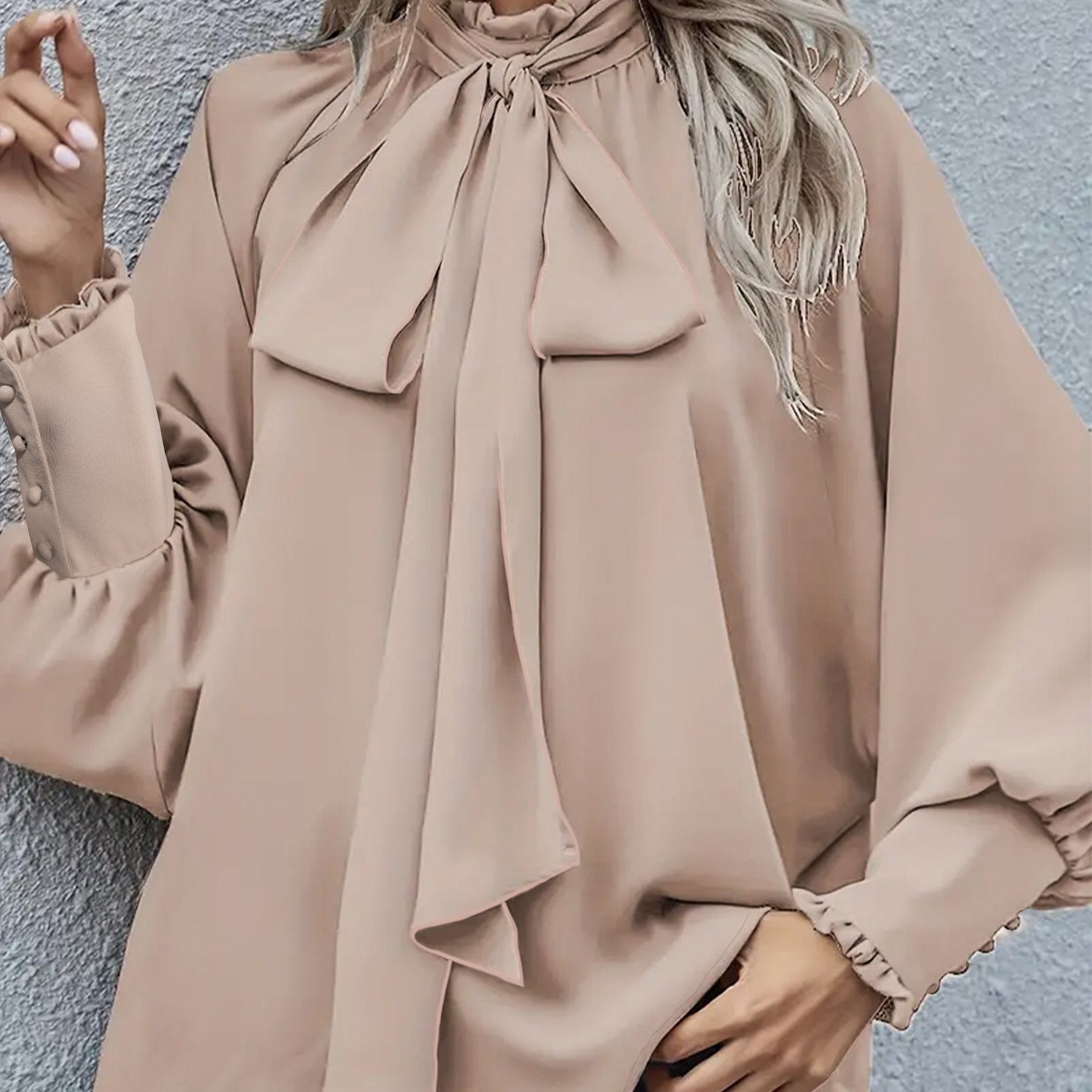 Women's Plus Size Tie Neck Blouse Long Sleeve Spring Fall Solid Color