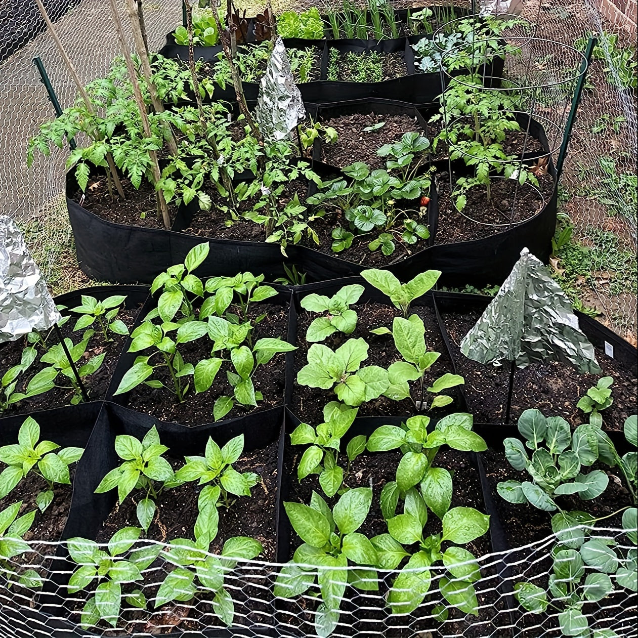 Fabric Raised Garden Bed for Vegetables Flowers Herbs 8-Section Outdoor Lightweight