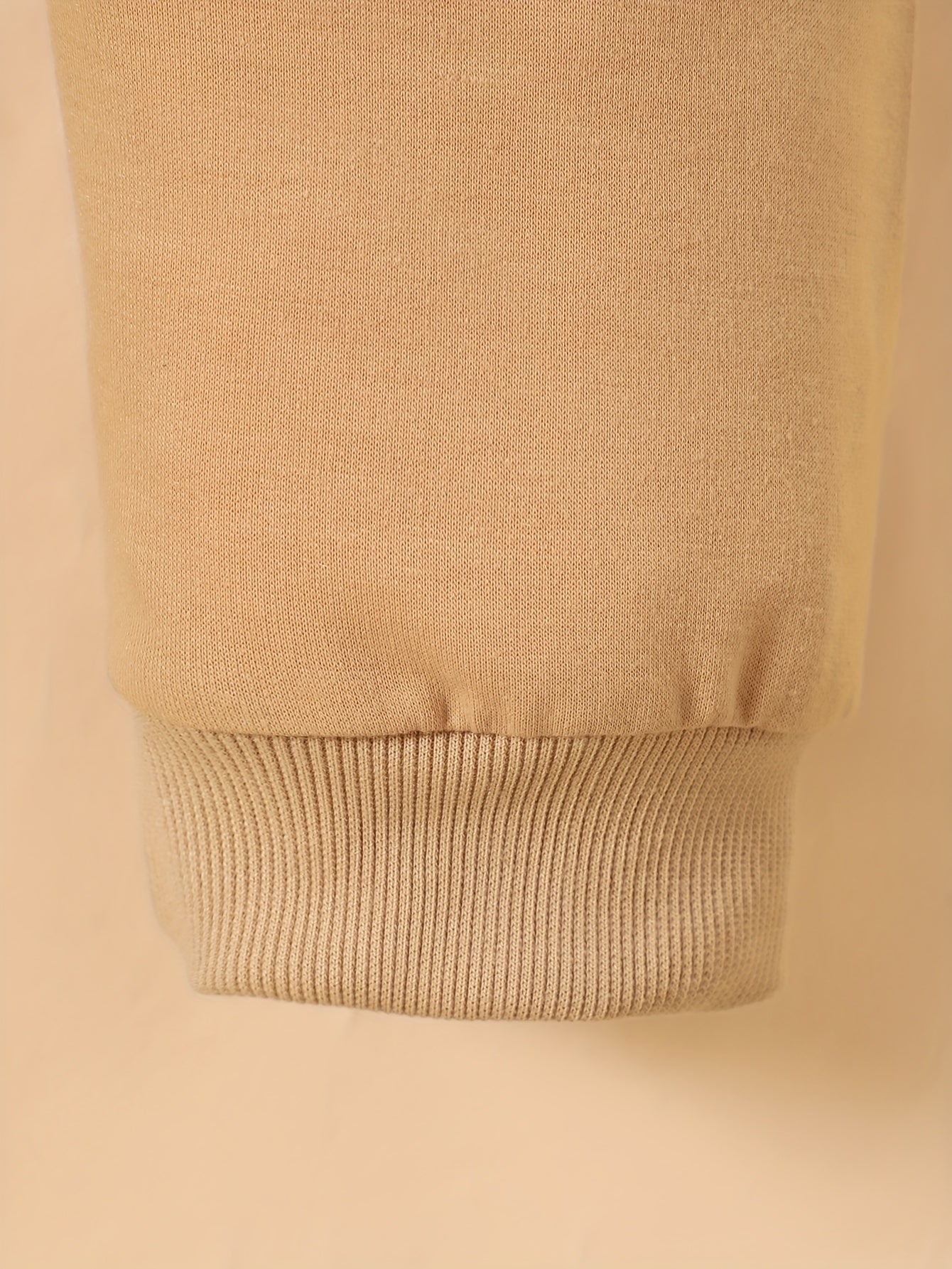 Boys' Fall Winter Lion Print Hoodie and Sweatpants Set Kids Casual Animal Pattern Polyester