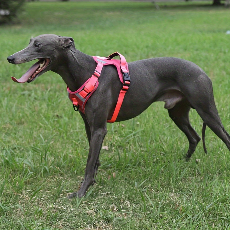 Katta zotlar uchun mustahkam, sozlanadigan taktik it yelkası, oson boshqarish tutqichi va sozlanadigan tasmalari bilan, bir nechta ranglarda mavjud.