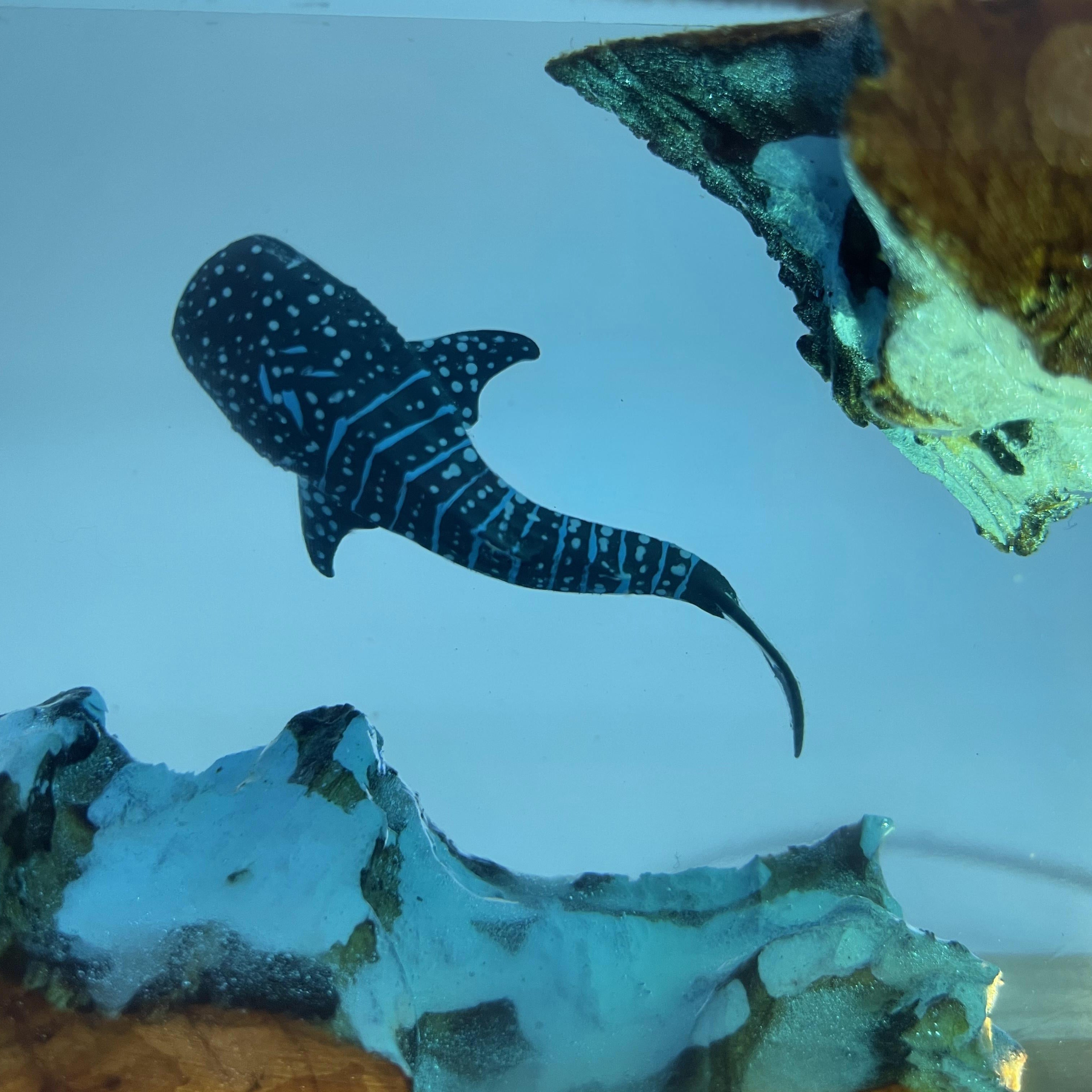 Qo'l bilan yasalgan kit qoplamali lampa, yotoqxona uchun noyob yoritish va bezak, mukammal sovg'a.