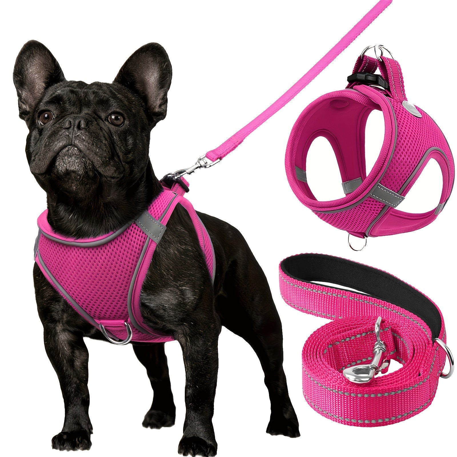 Reflective Dog Harness and Leash Set for Small to Medium Breeds Mesh Padded Nylon No-Choke Safety