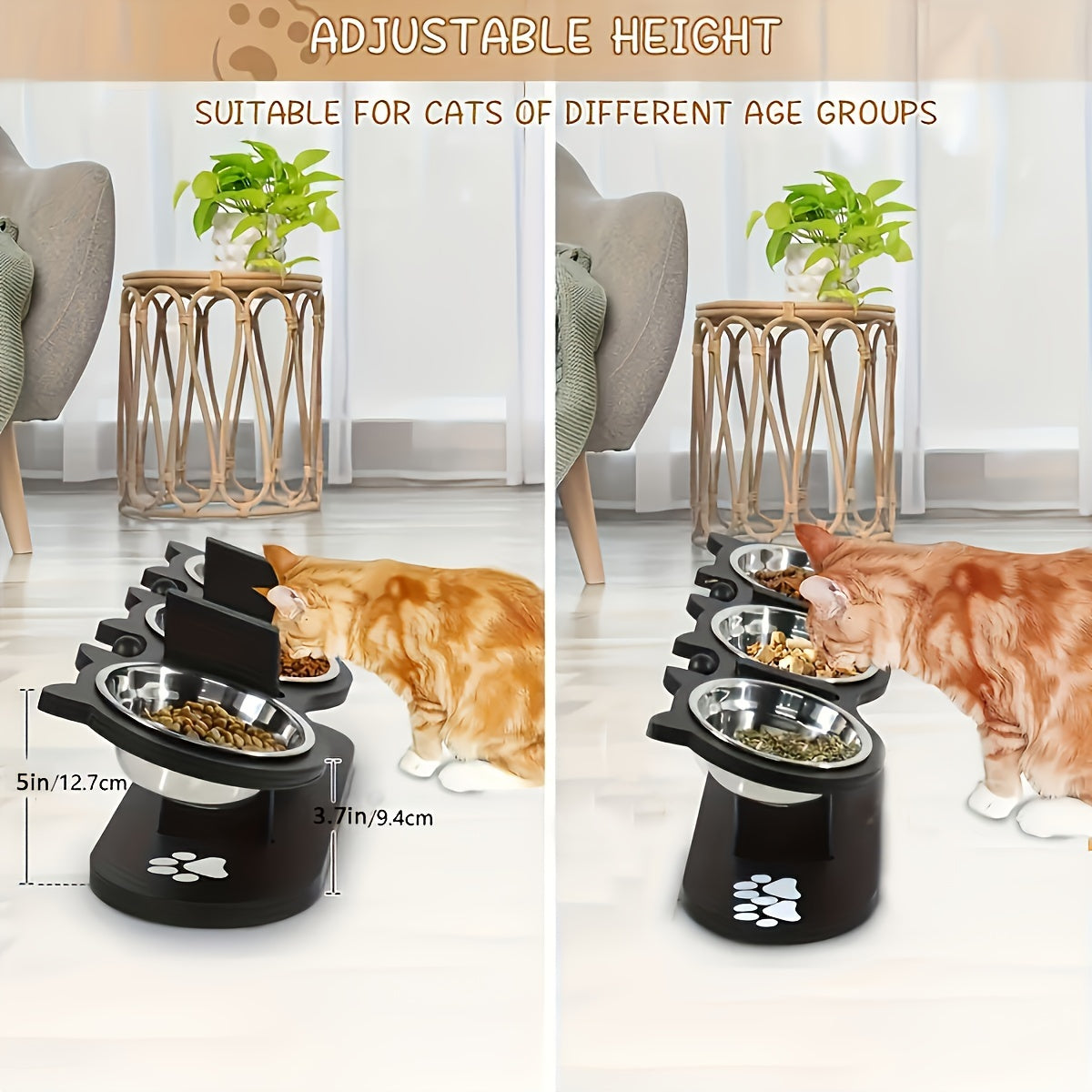 Adjustable Elevated Cat and Small Pet Food Bowl with Stainless Steel Stands