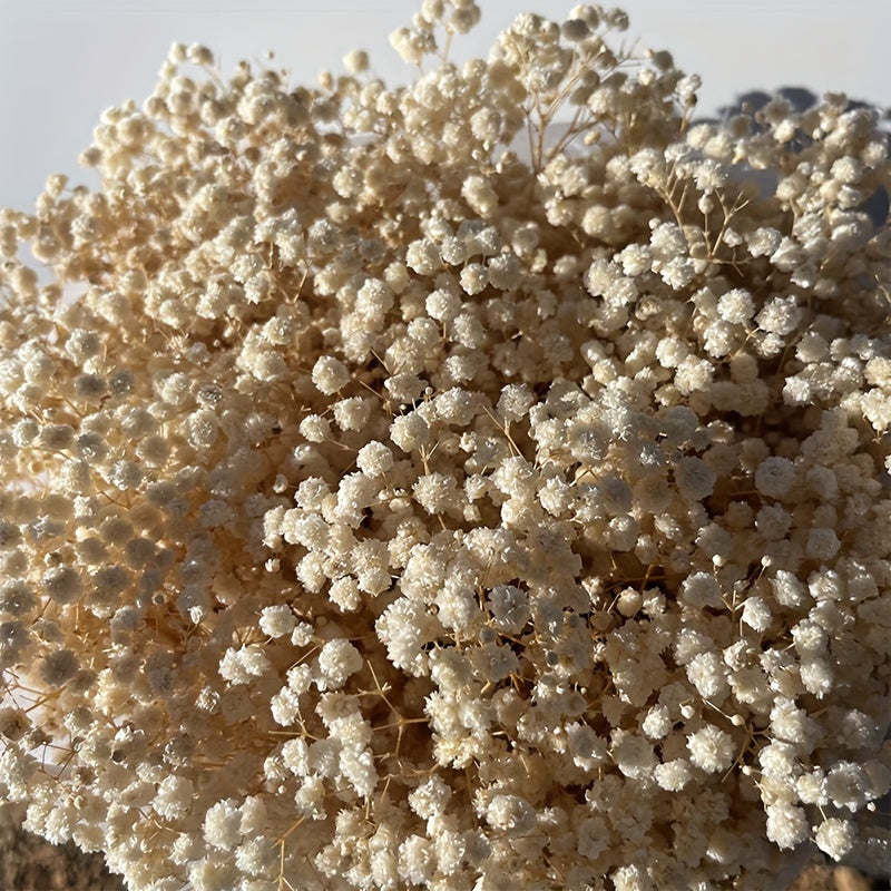 Коробка из 30 сохранившихся цветов для DIY-проектов, включая рамку для фотографий, плавающие цветочные материалы, свечи и тисненые цветы.