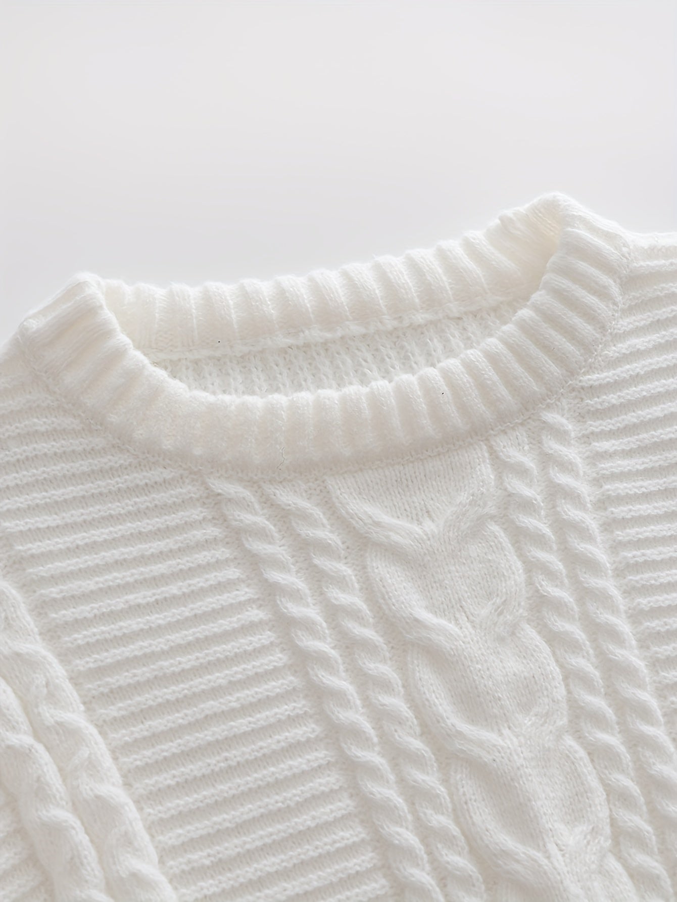 Men's Solid Color Cable Knit Sweater Crew Neck High Stretch All Seasons Polyester