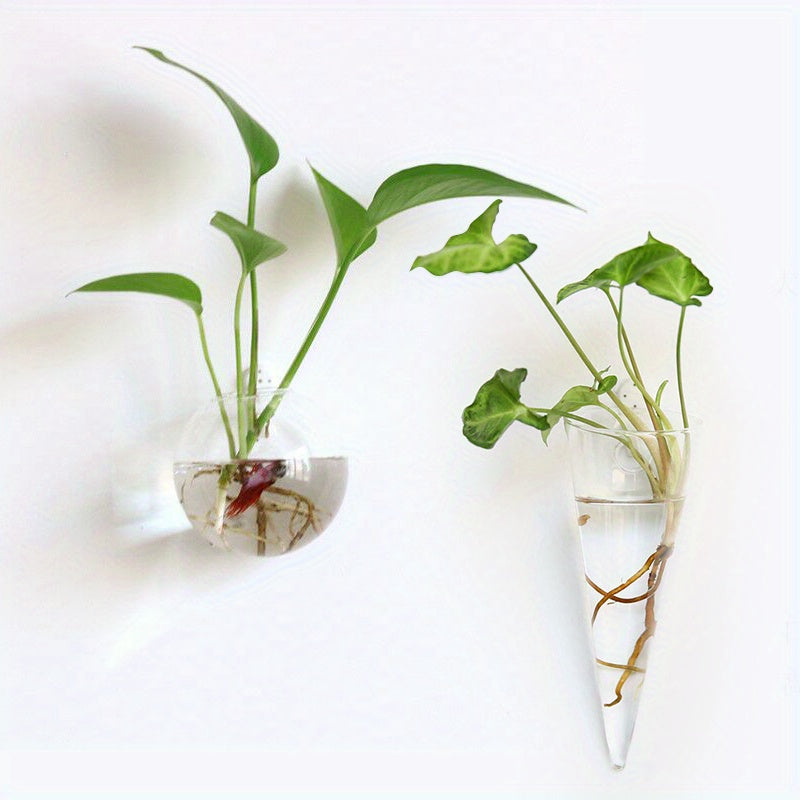 Glass Wall Vase for Home Decoration in Living Room, Balcony or Bedroom