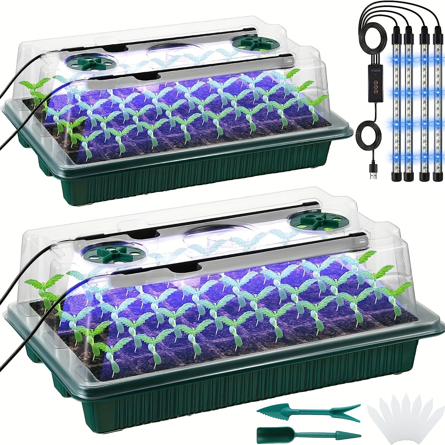 Seedling Starter Kit with 2 Trays High Dome 80 Cells LED Grow Lights Timer