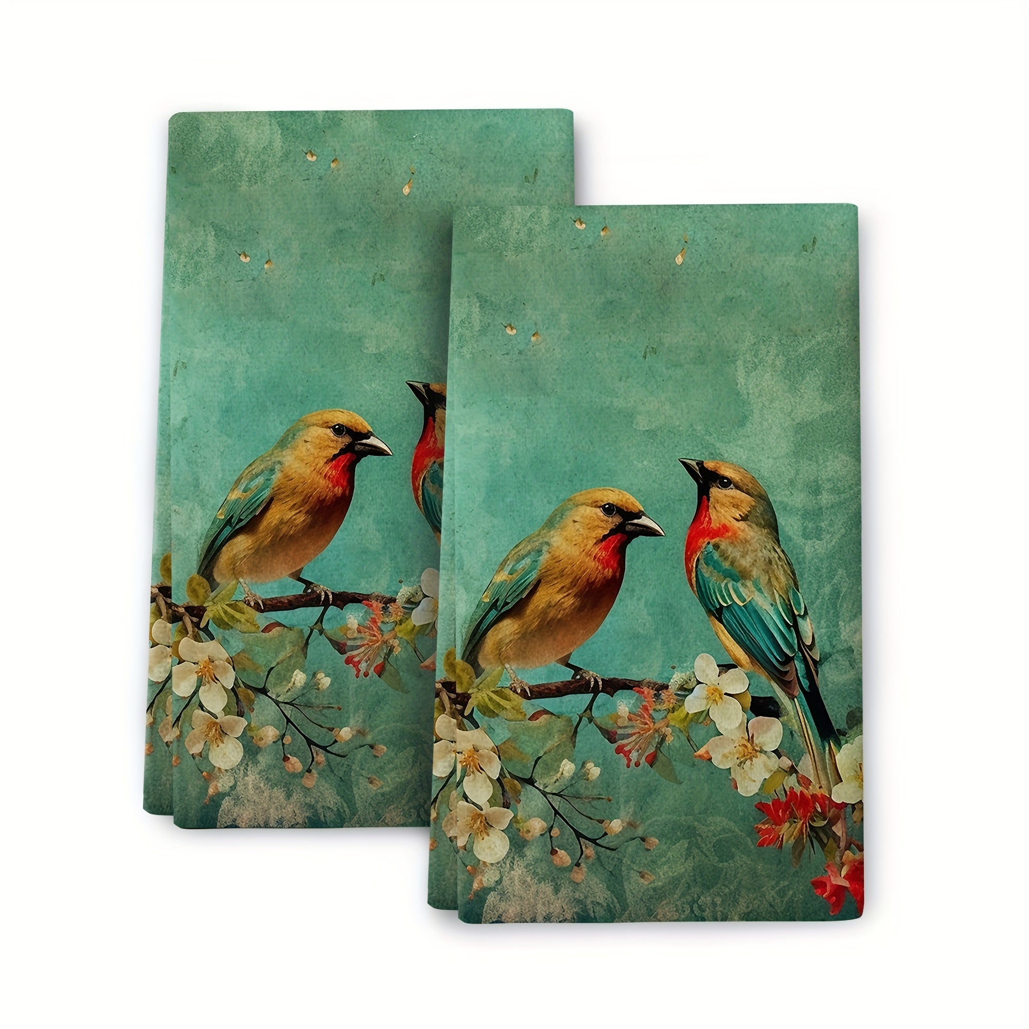 Set of 2 Kitchen Hand Towels Dish Cloths and Scouring Pads for Cleaning and Decor