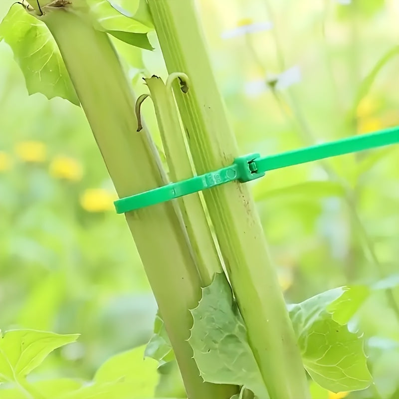 Reusable Heavy-Duty Nylon Ties 100/200 Pcs for Garden and Outdoor Use