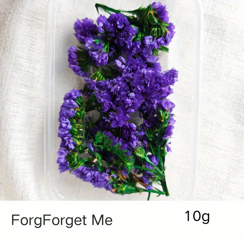 Бохо-Шик Рождественский Набор для Ремесел: Натуральный Растительный Декор для DIY Проектов, Венков и Подарков