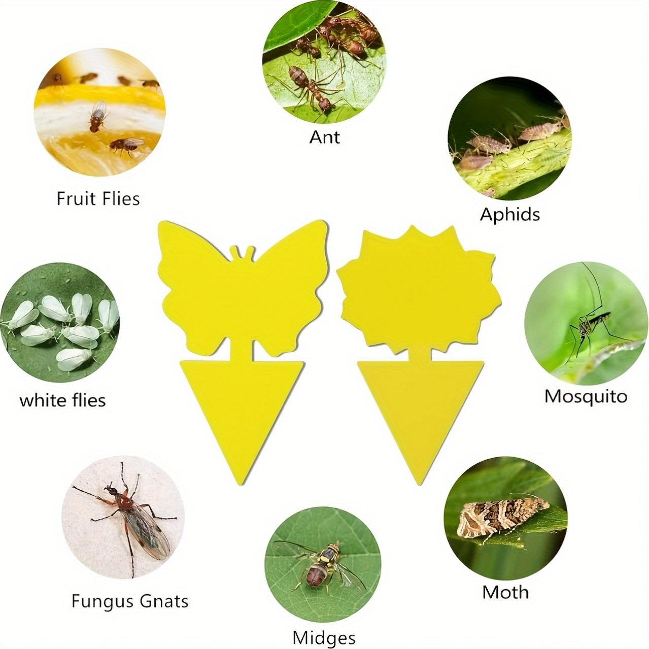 Trampas de insectos con mariposa amarilla y girasol, tableros de pegamento de doble cara, fácil de limpiar