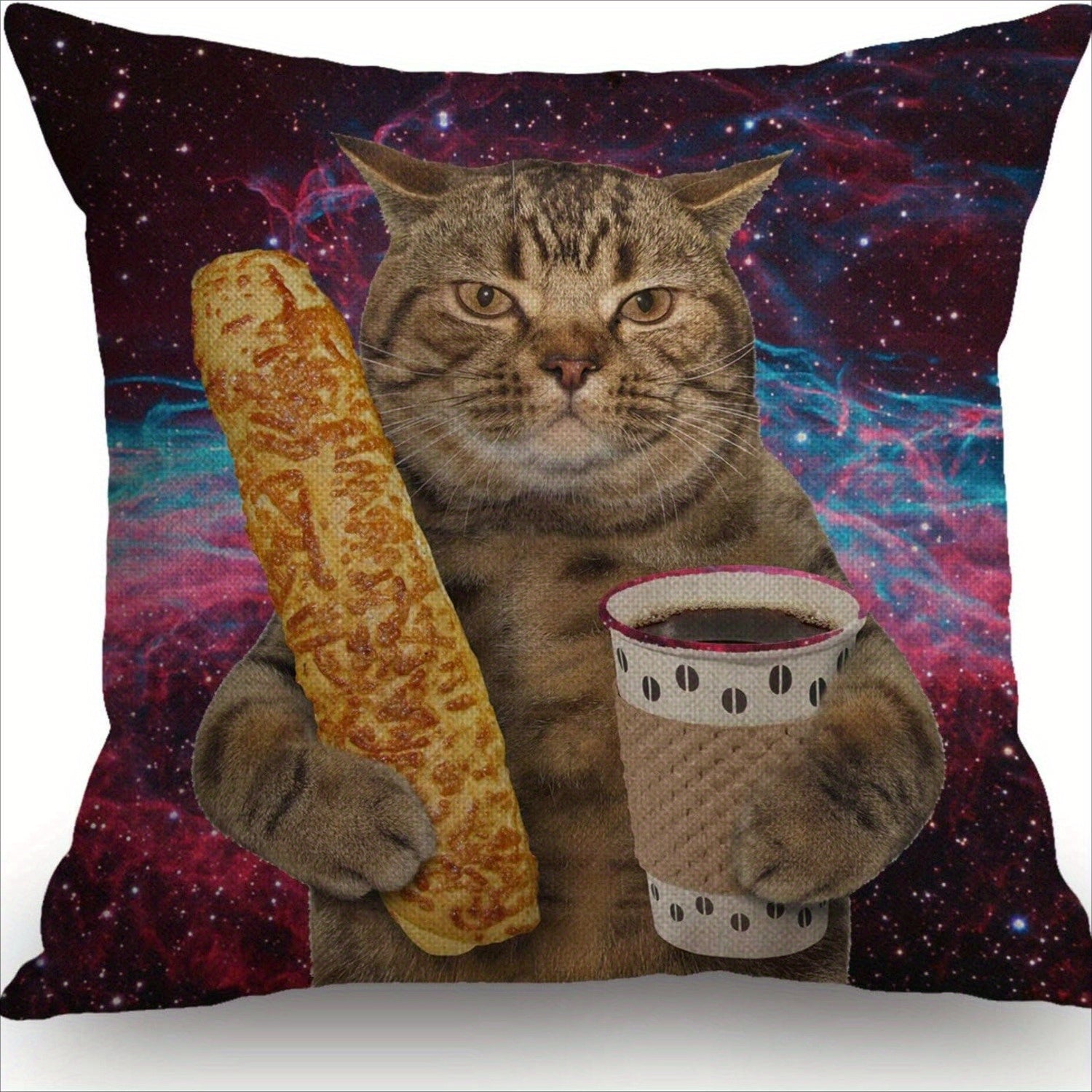 Galaxy Cat Decorative Throw Pillow Cover 45cm Square Funny Feline Baguette Coffee