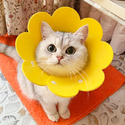Sunflower-Shaped Cat Recovery Collar Adjustable Post-Surgery Wound Healing Cone